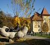Санаторий «Квитка Полонины» Солочин (Закарпатье)